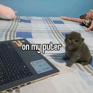 Meet your Posher Frida